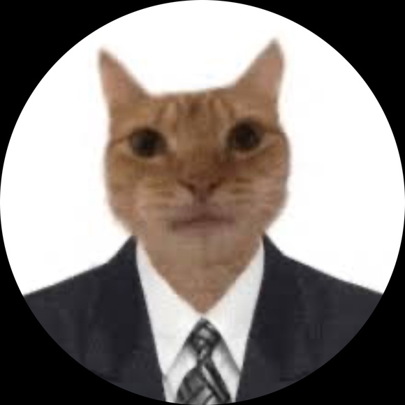 business_kitty